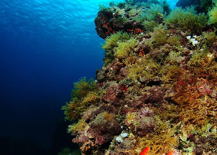 Luna シラクーサ